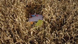 'Sonntags' Kurzfilm von Tondowski Films - Caroline Intrup | Sprecherin Performerin Sprechtrainerin | Berlin