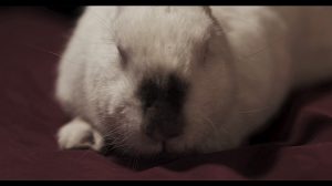 'Soll und Haben. Revision' Kurzfilm von S. Walker & R. Hechelmann - Caroline Intrup | Sprecherin Performerin Sprechtrainerin | Berlin